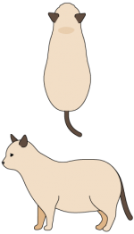 BCS5