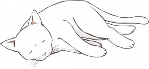 ぐったりする猫